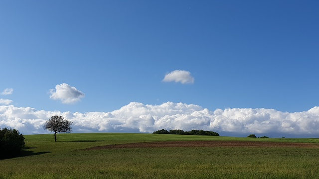 Horizont